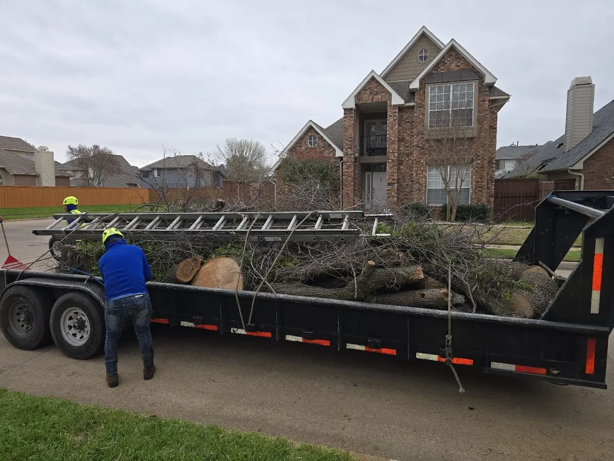 Expert Tree Fertilization with proper safety equipment in Castle Dale